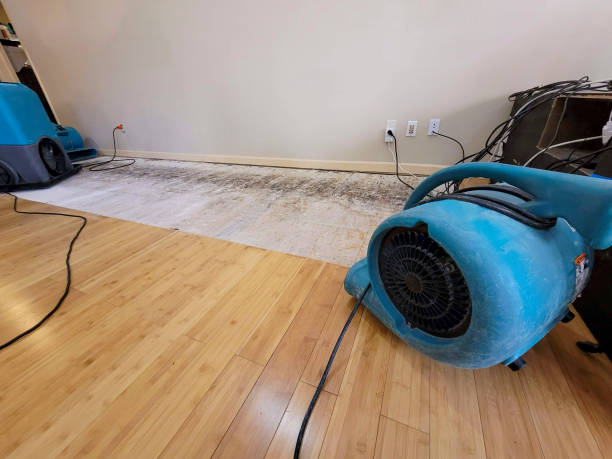 Reliable Crawl Space Water Removal contractor in Fairfield, TX by Hirex Water Damage