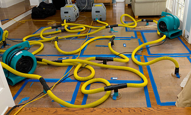 Professional Crawl Space Water Removal technician working in Fairfield, TX